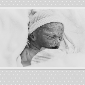 Fundraising Page: Elaina Vietz